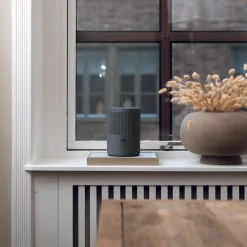 Best Absodry fugtfjerner Duo Family 600g grå