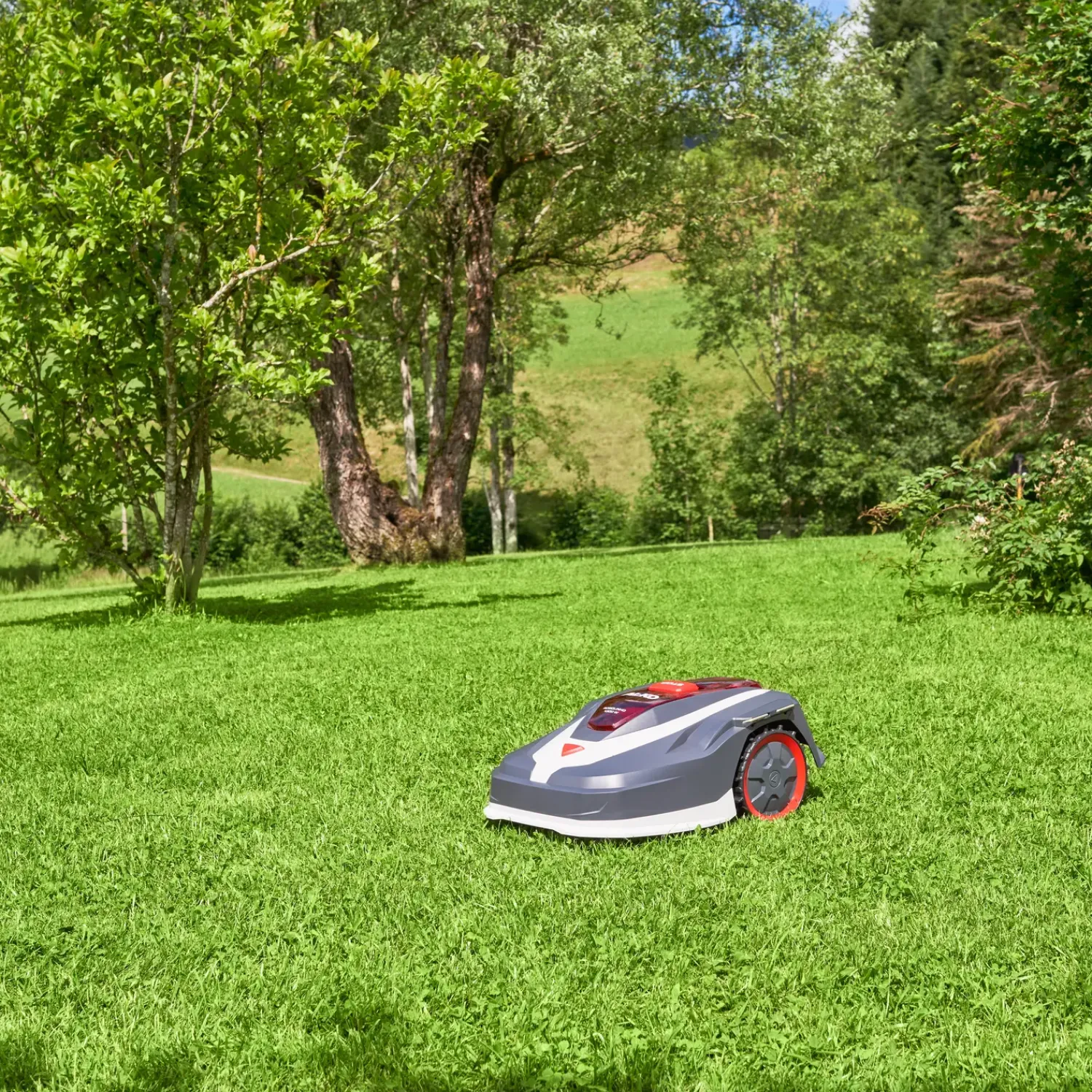 Discount AL-KO Robolinho® robotplæneklipper 1300 W (op til 1300 m2)