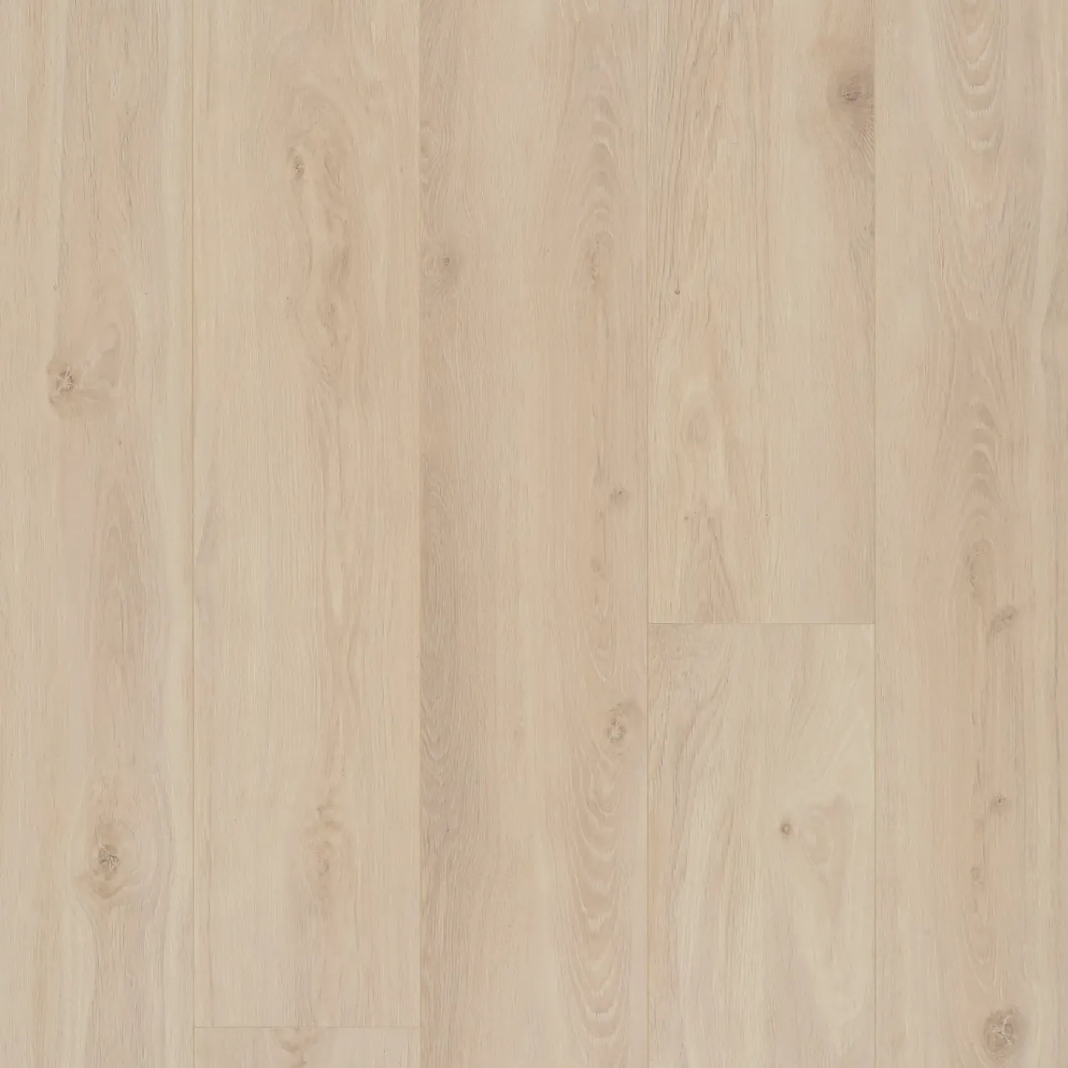 BerryAlloc Laminatgulve^Berry Alloc Connect 8 XL laminatgulv 241x2038x8 mm bloom sand natur