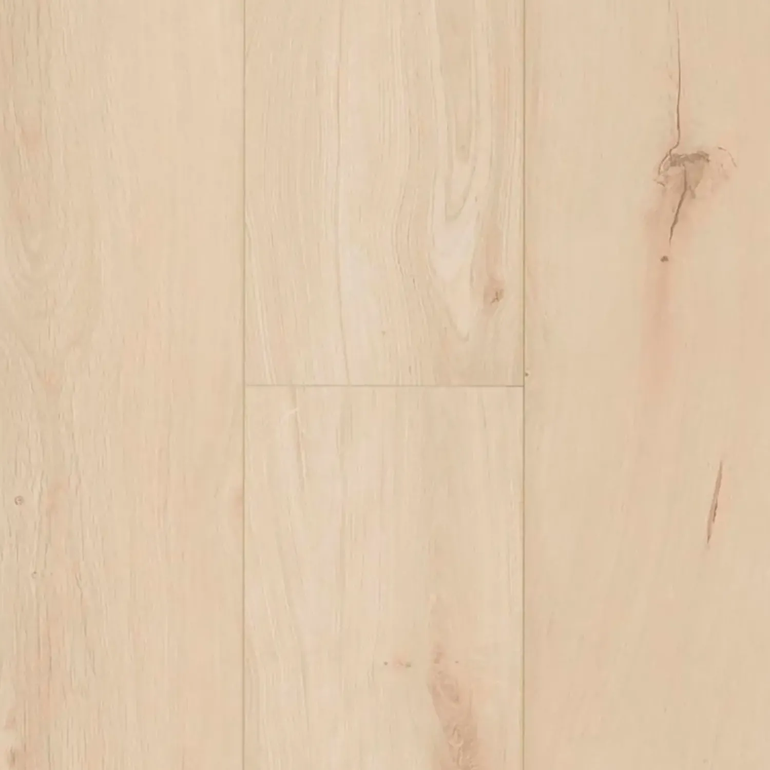 Hot BerryAlloc Ocean+ 8 XL laminatgulv Gyant XI light sand 241x2038x8 mm