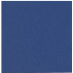 Abena Kaffe Og Køkkenudstyr|Tilbehør Til Kontor Og Værksted^Blå middagsserviet Gastro-Line 2-lags, 1/4 fold, 40x40 cm. - 100 stk.