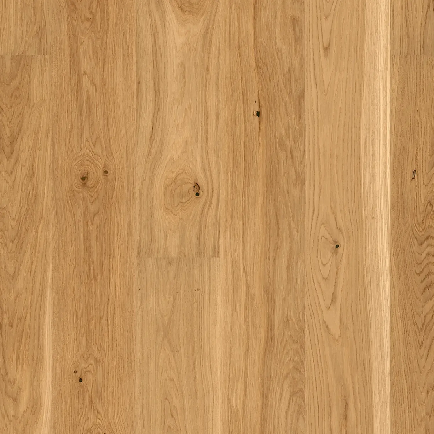 Trægulve^Boen Animoso plankegulv 14x209x2200 mm eg matlak