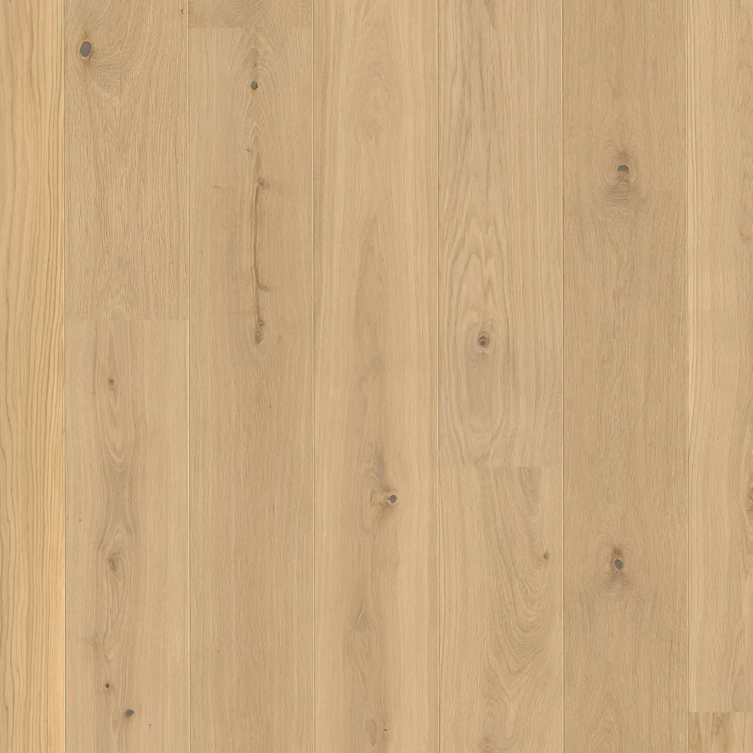 Clearance Boen Animoso plankegulv 14x209x2200 mm eg Live Pure