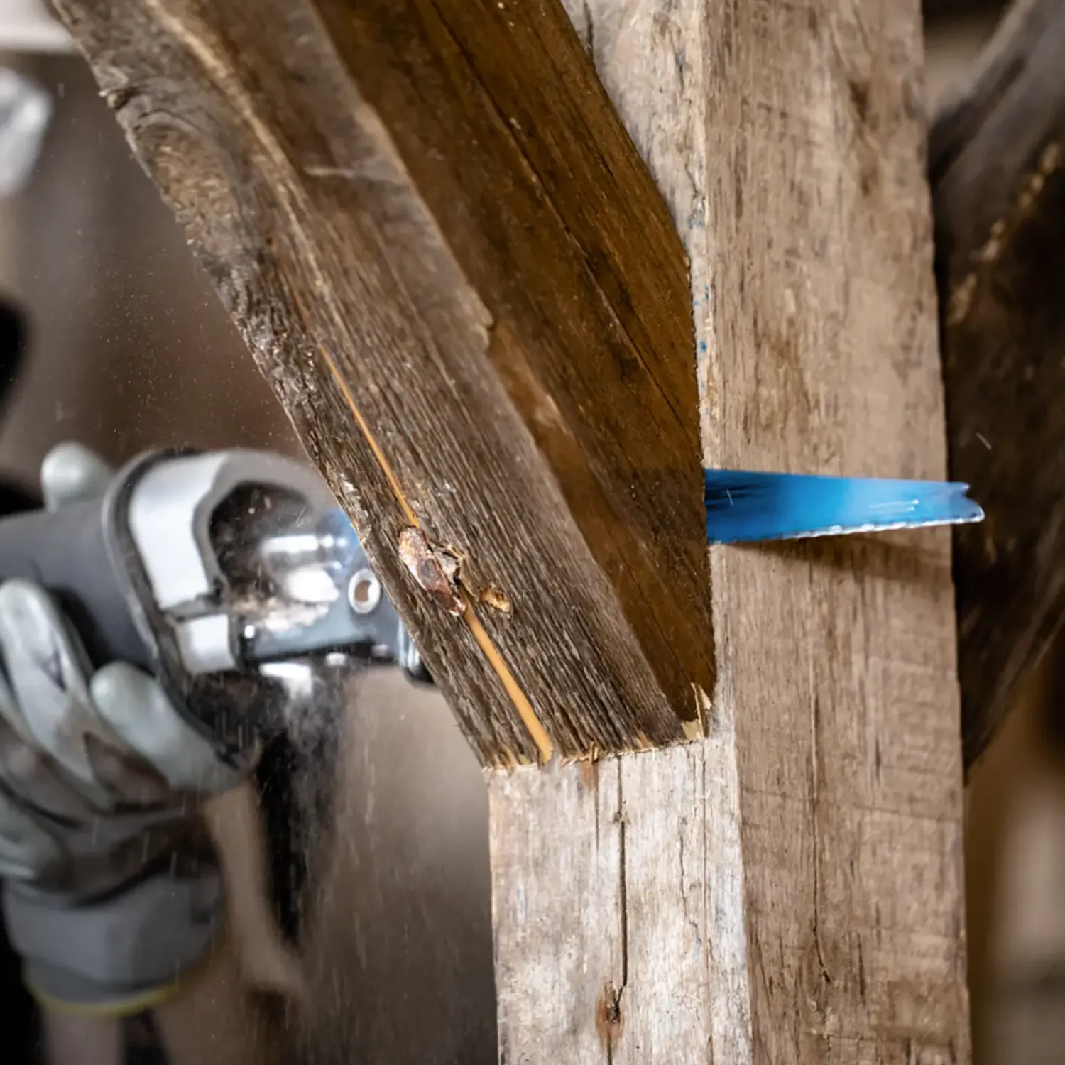 Best Bosch Professional Bosch Expert 1167 XHM bajonetsavklinge wood with metal demolition 225 mm