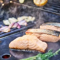 Best Char-Broil Essential støbejernsstegeplade