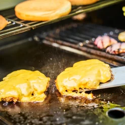 Best Char-Broil Essential støbejernsstegeplade