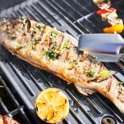 Discount Char-Broil Gas2Coal Special Edition 4 - hybridgrill (gasgrill/kulgrill) med 4 brændere