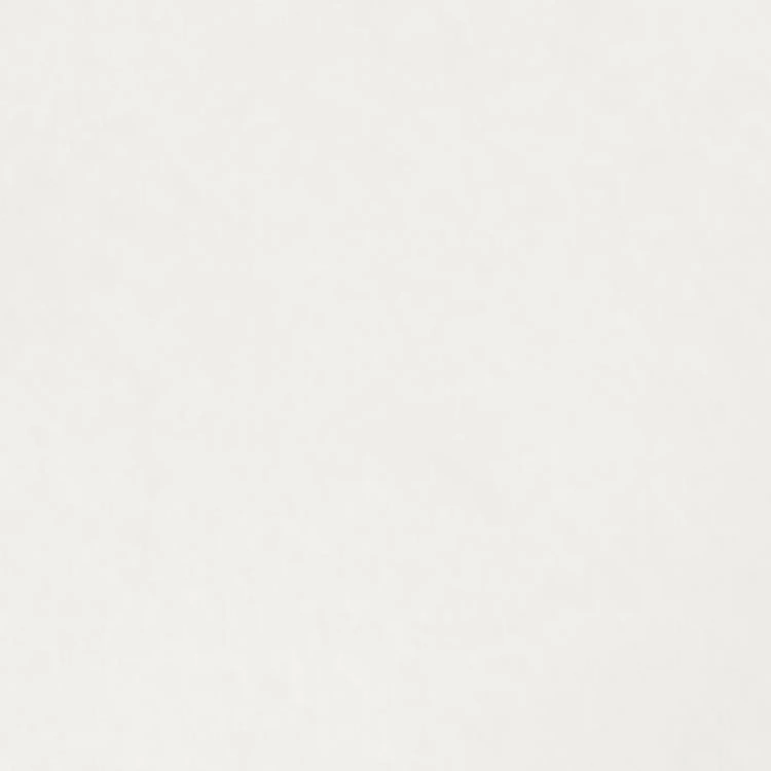 Discount Conteco ONE 2,5 kg 01 Birch