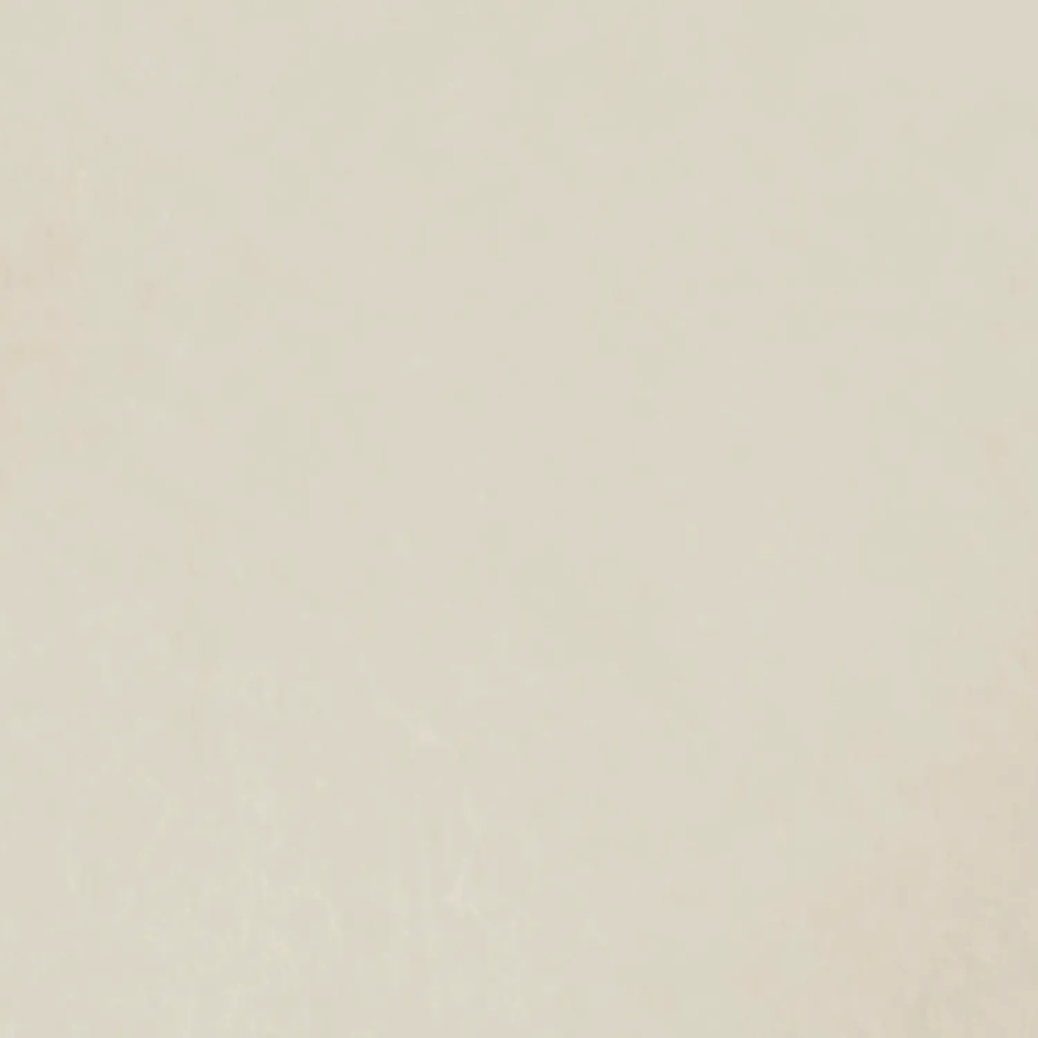 Dame Conteco Microcement^ONE 2,5 kg 06 Fossil