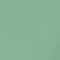 Best Conteco ONE 2,5 kg 43 Ivy