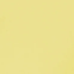 Discount Conteco ONE 2,5 kg 50 Marigold