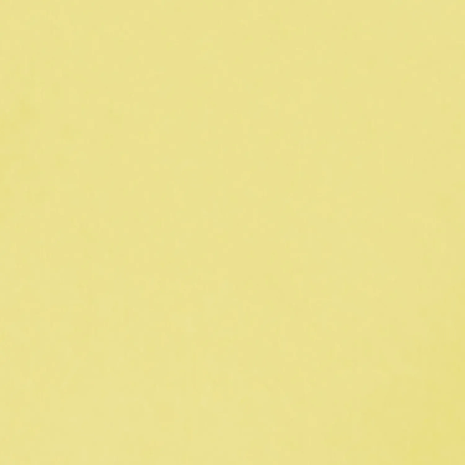 Discount Conteco ONE 2,5 kg 50 Marigold