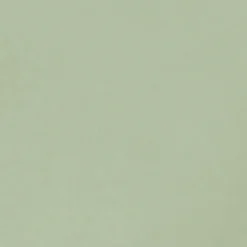 Dame Conteco Microcement^ONE 2,5 kg 42 Sage green