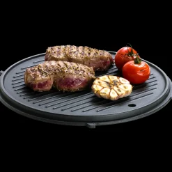 Clearance Dangrill Flex grillplade