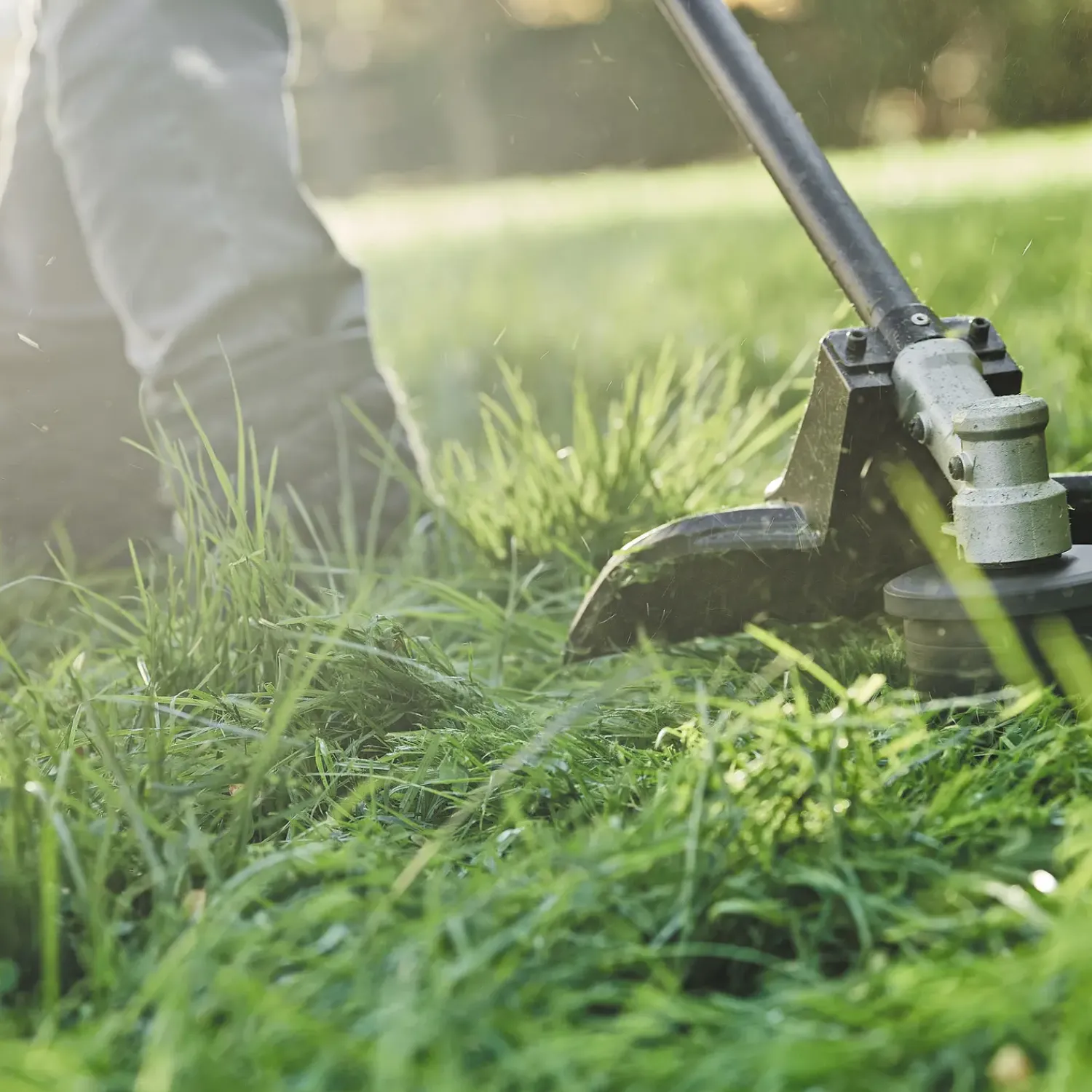 New DeWALT DCMASST1N buskrydder forsats til 54V motorenhed