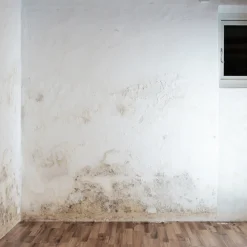 Dyrup Spartelmasse^spartel fugtbremsende 5 kg