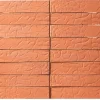 Best Egernsund Tegl Facade Massive EW1205 Rød ormepræg