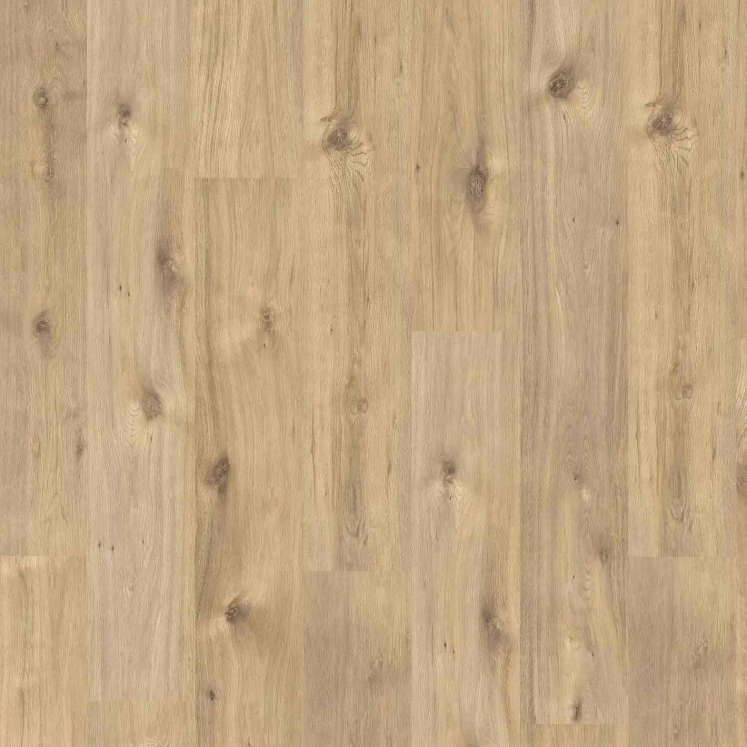 Egger Laminatgulve^Basic laminatgulv EBL006 Achensee