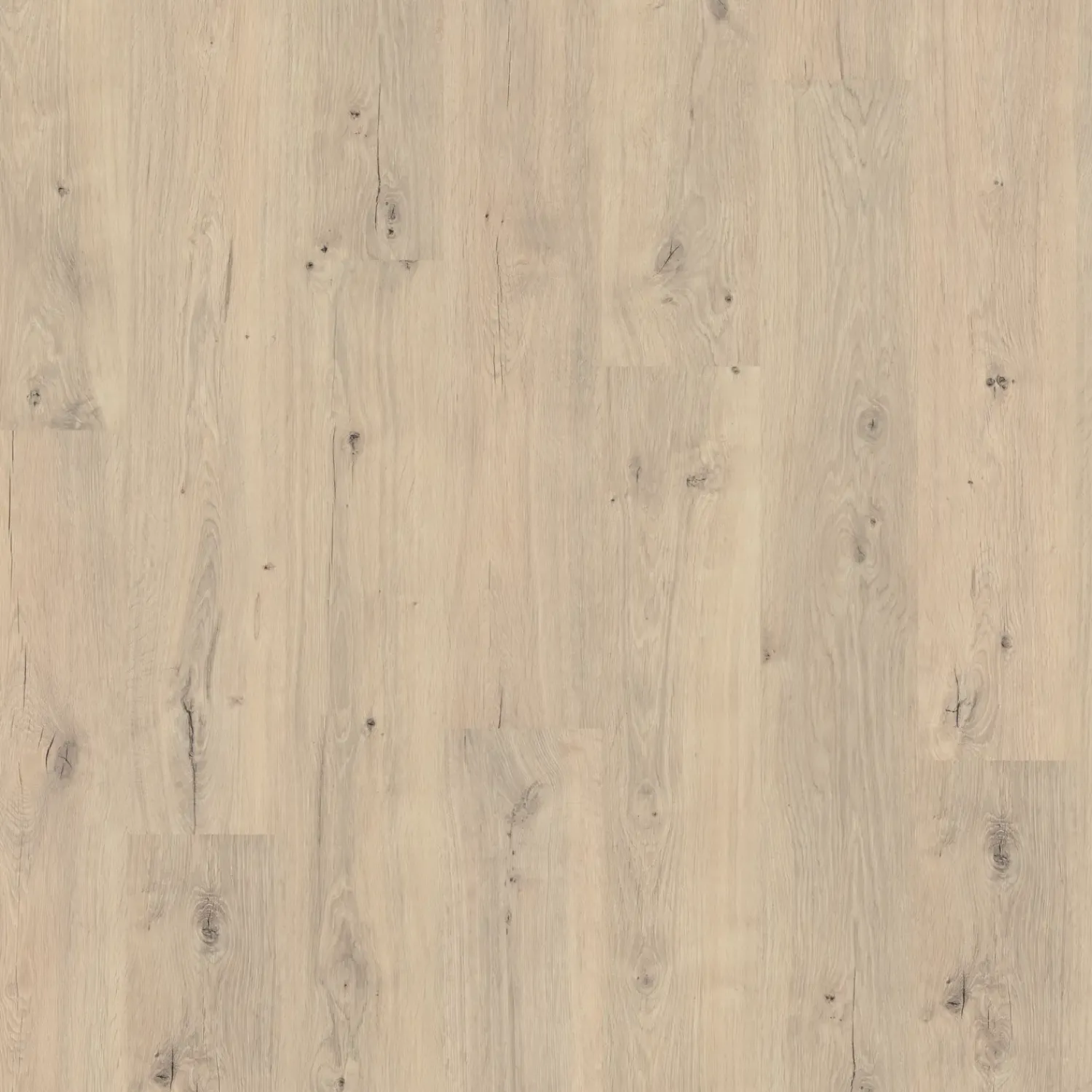 Laminatgulve^Egger Home laminatgulv EHL135 Repino eg