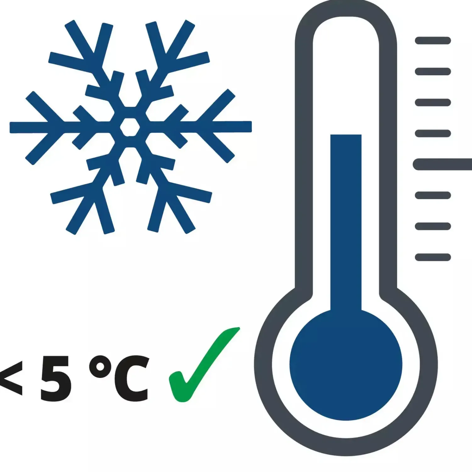 Einhell Autotilbehør|Prepperudstyr^CE-BC 10 M batterilader 12V/10A