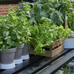 Elmholm Store Drivhuse Over 10 M²^Exclusive vægdrivhus antracit med hærdet glas, inkl. sokkel 13,1 m²