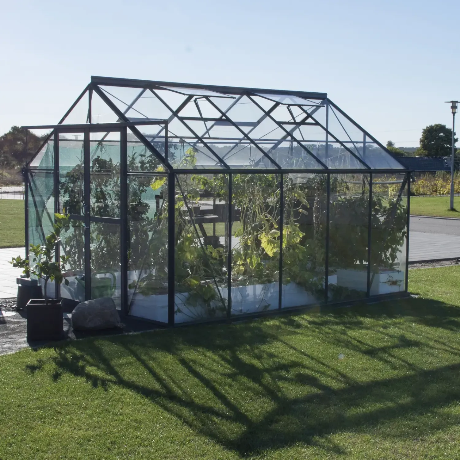 Discount Elmholm Standard drivhus antracit med hærdet glas, inkl.sokkel 9,75 m²