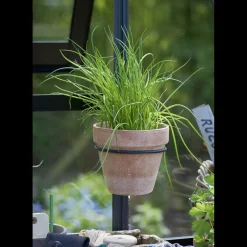 Discount Elmholm Standard drivhus antracit med hærdet glas, inkl.sokkel 9,75 m²