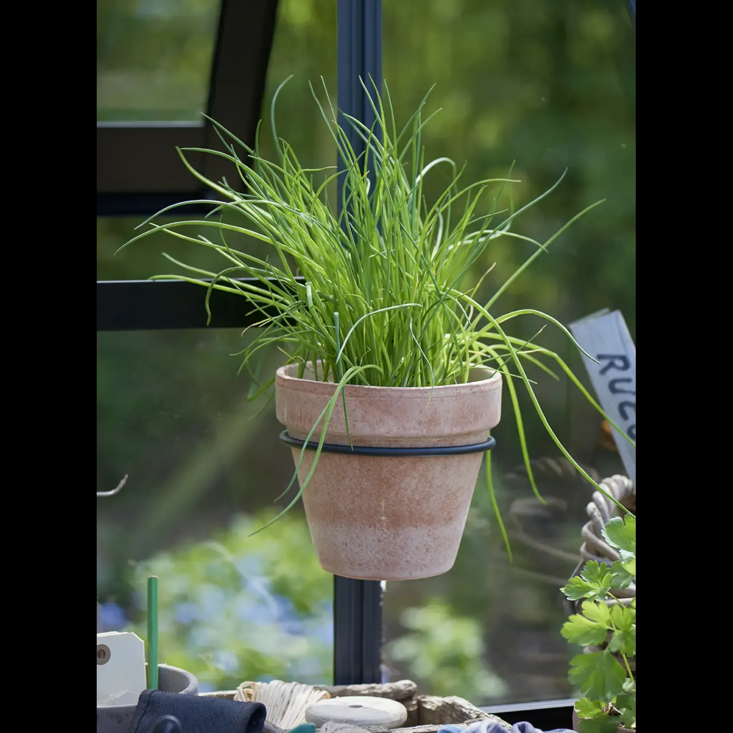 Discount Elmholm Standard drivhus antracit med hærdet glas, inkl.sokkel 9,75 m²