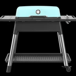 Clearance Everdure Furnace gasgrill mint