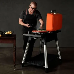 Clearance Everdure Furnace gasgrill mint