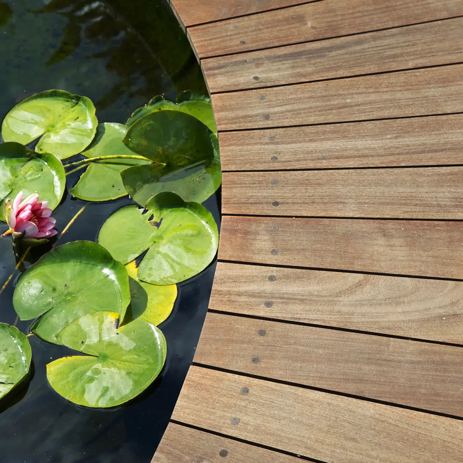 GORI Terrasseolie^304 transparent træolie træterrasse farveløs 2,5 L