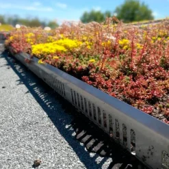 Growtek Sedumtag^kantskinne sort alu 60 mm x 2 m