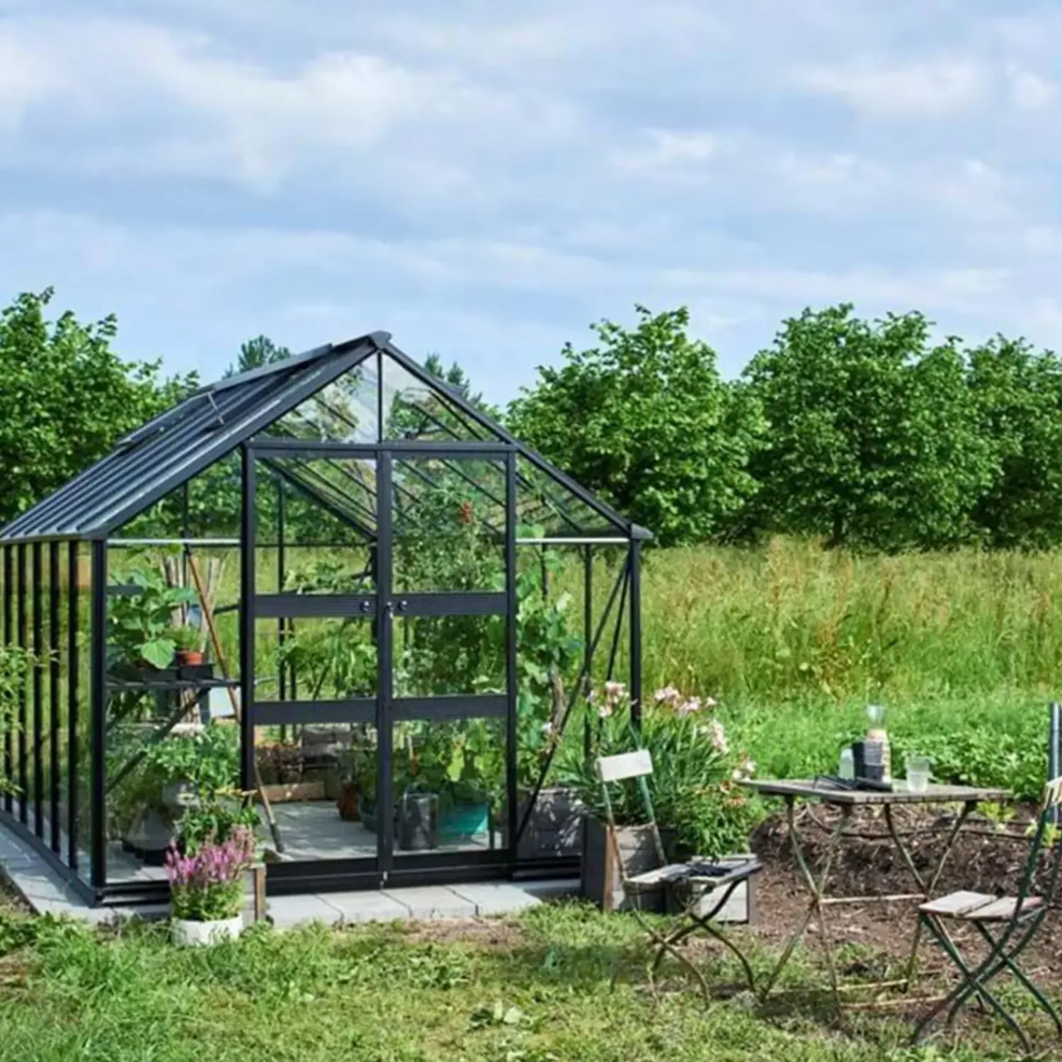 Online Halls Blockley drivhus 814 + fundament 11,3 m² sort 3 mm hærdet glas