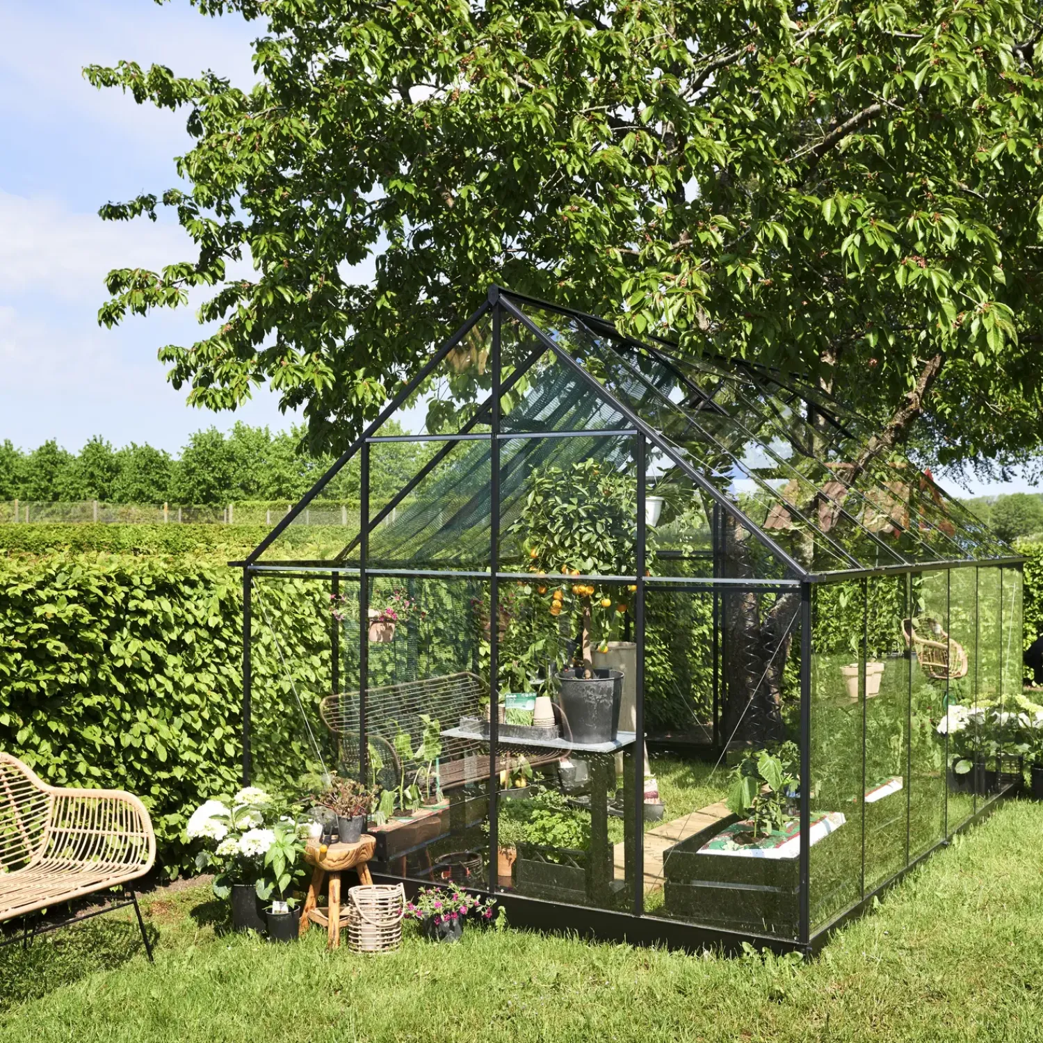 New Halls Qube+ 812 drivhus sort med hærdet glas, 9,9 m²