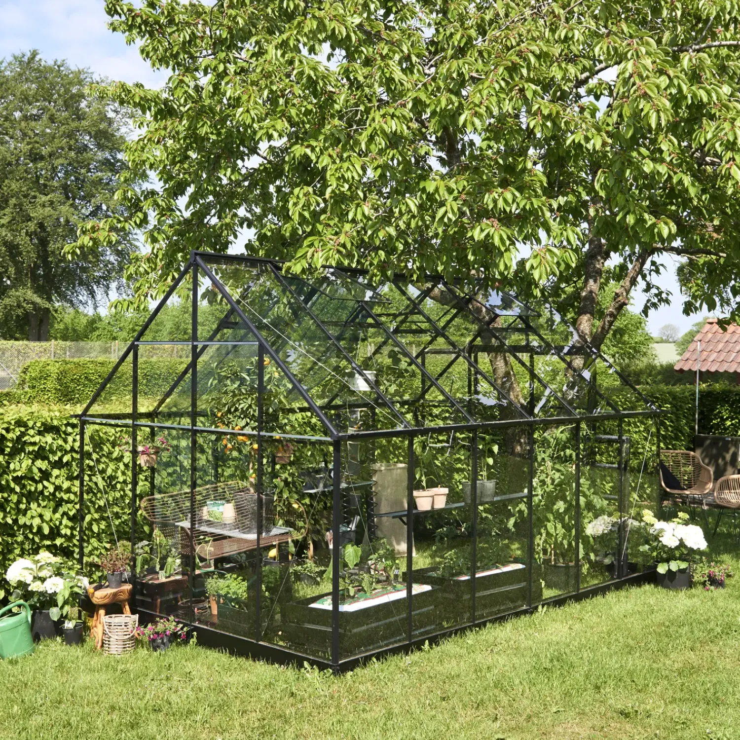 New Halls Qube+ 812 drivhus sort med hærdet glas, 9,9 m²