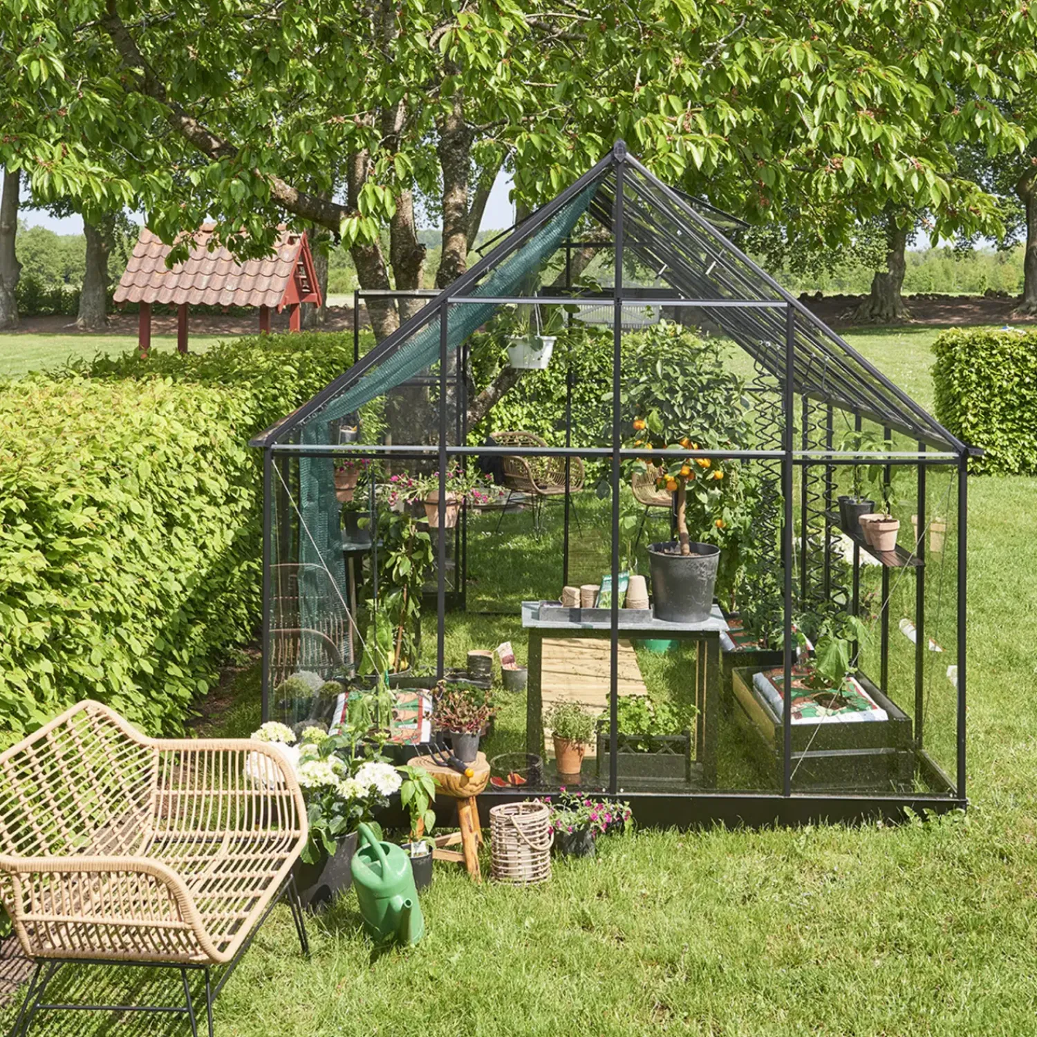 New Halls Qube+ 812 drivhus sort med hærdet glas, 9,9 m²