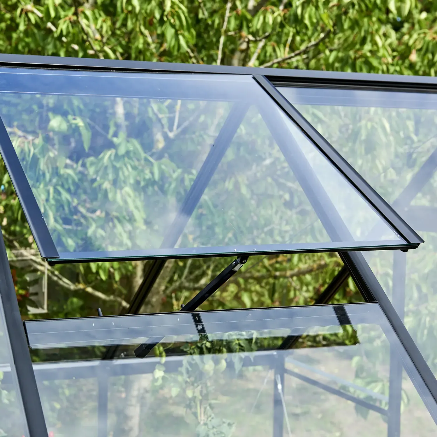 New Halls Qube+ 812 drivhus sort med hærdet glas, 9,9 m²