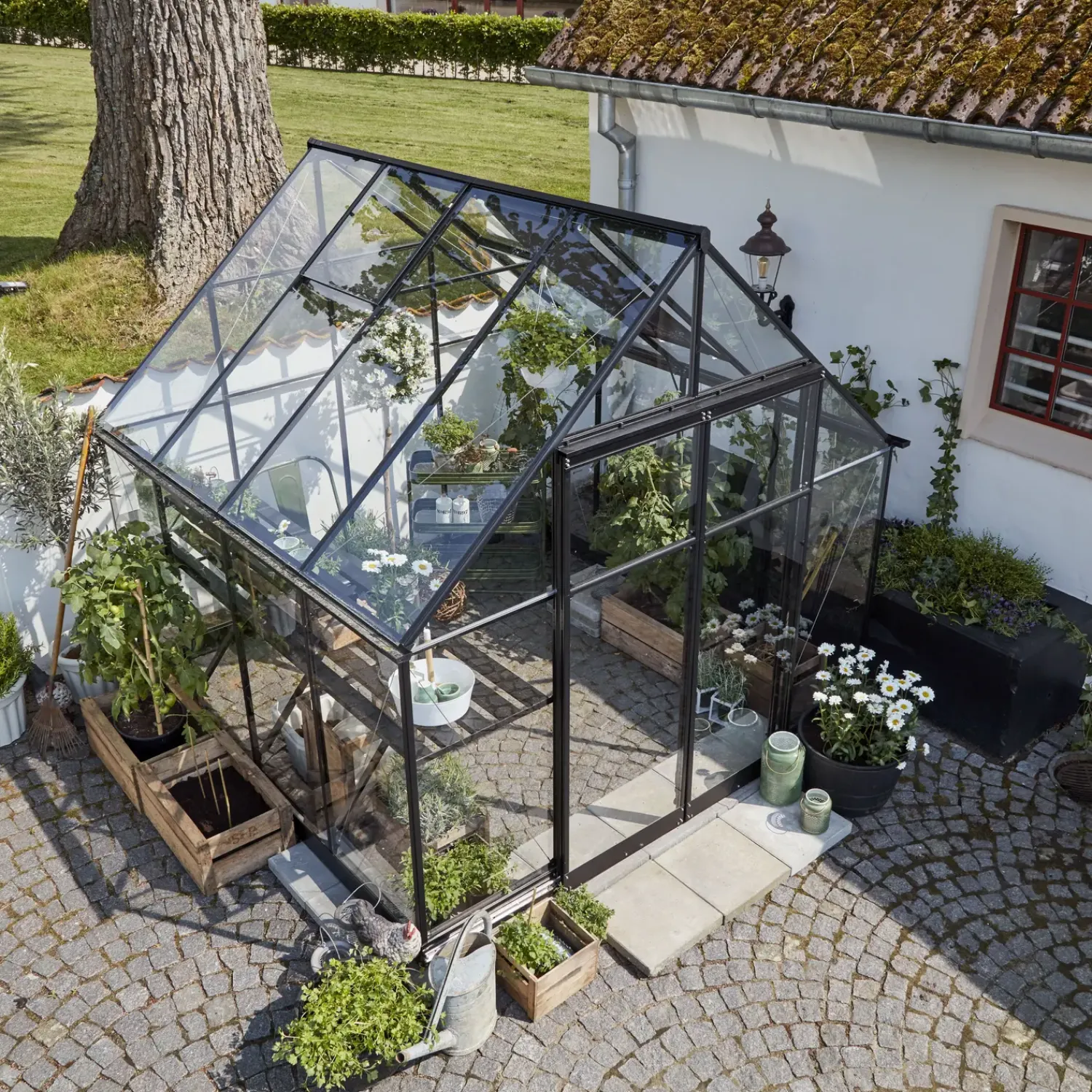 Halls Mellem Drivhuse 4-10 M²^Qube+ 88 drivhus sort med hærdet glas 6,6 m²