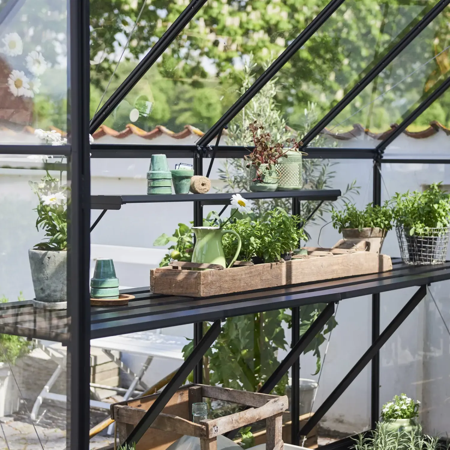 Halls Mellem Drivhuse 4-10 M²^Qube+ 88 drivhus sort med hærdet glas 6,6 m²