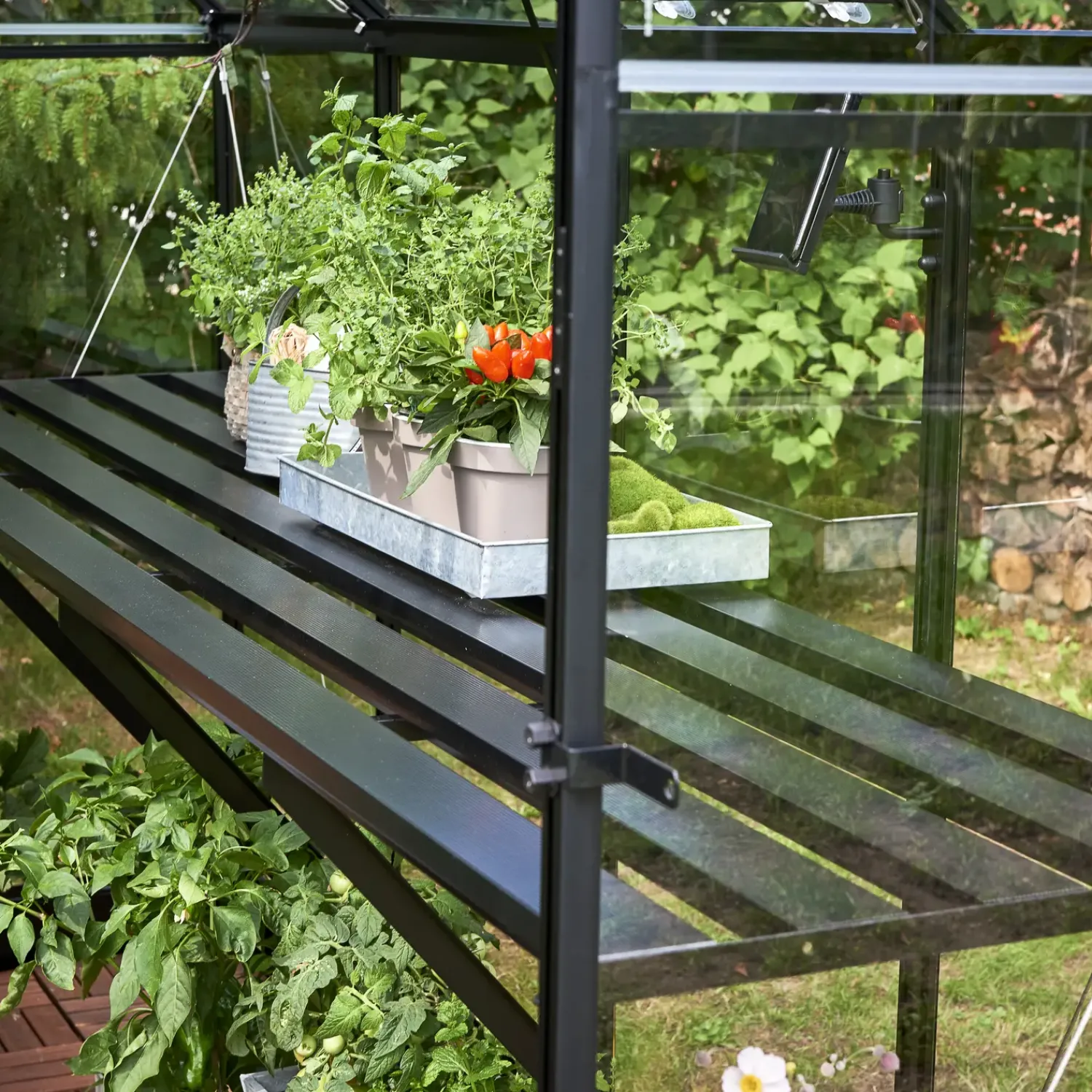 Halls Drivhusindretning^Qube 66 drivhusbord sort