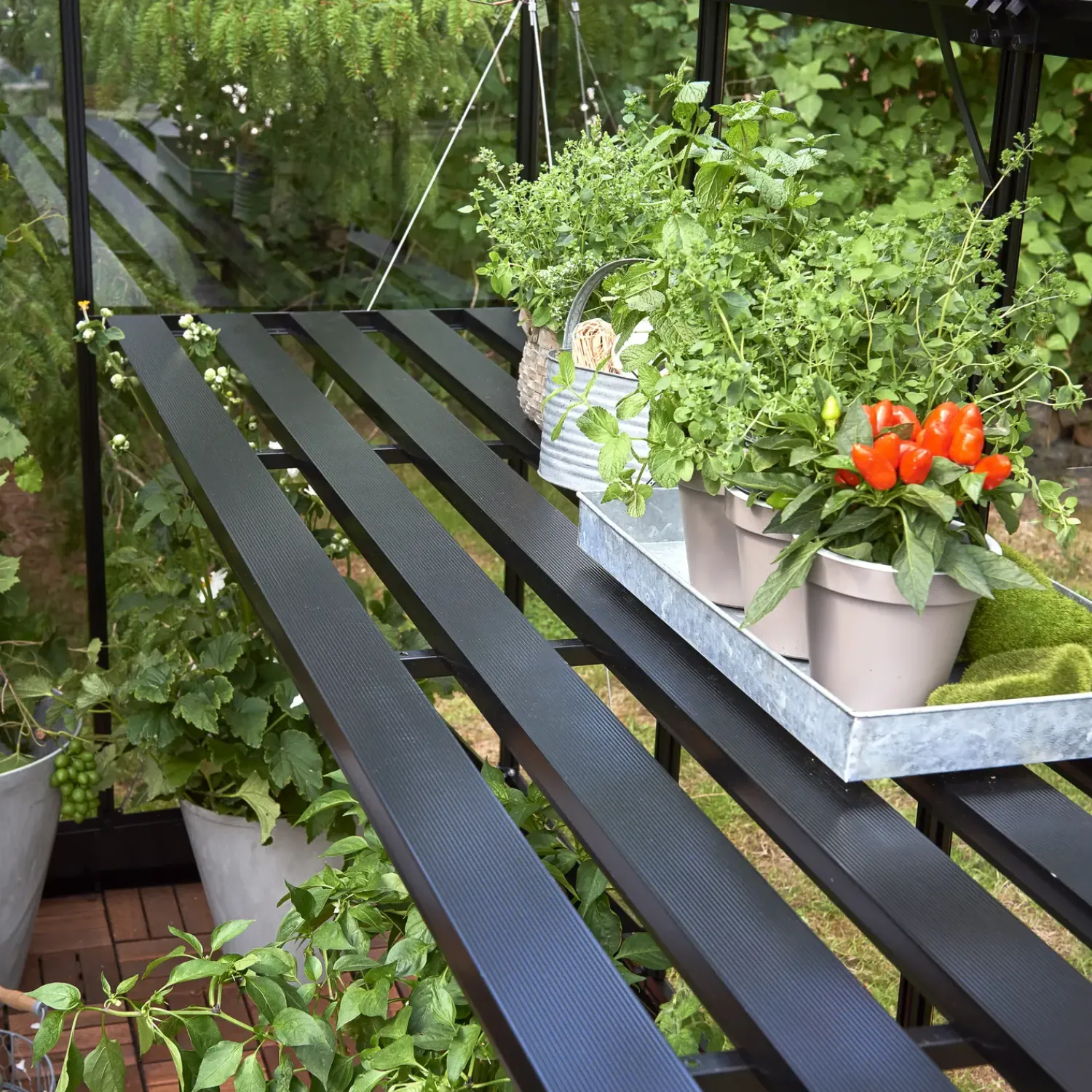 Halls Drivhusindretning^Qube 610 drivhusbord sort