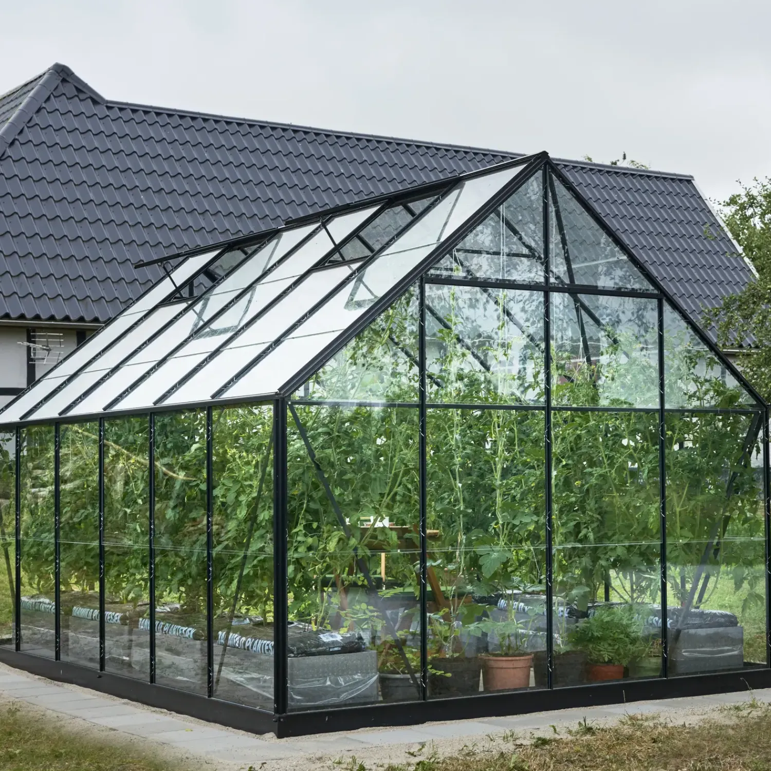 Halls Universal 128 drivhus sort, inkl. sokkel 9,9 m²