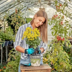 Arbejdshandsker^Handske wet m. touch dame str. 7