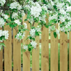 Outlet Hegnsbrædder gran trykimprægneret 16 x 100 mm x 1,8M