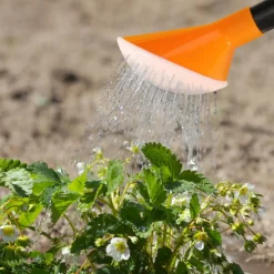 Home It® Havevanding^brusehoved til vandkande 10 liter