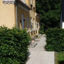 IBF Betonfliser^Struktur lys sand 30x30x4 cm