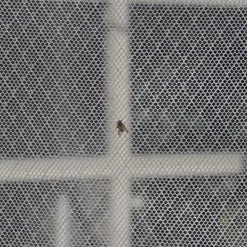 Expo-Net Skadedyrsbekæmpelse^Insektnet hvid, 120 cm x 25 m