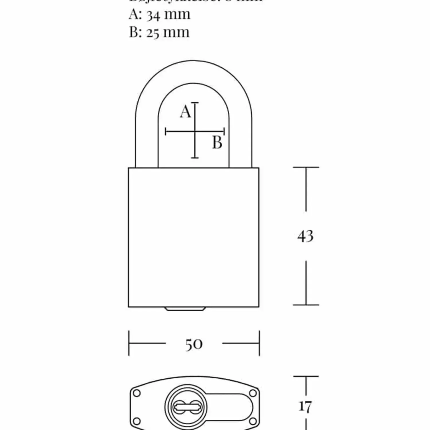 Online Jasa fe hængelås 50 mm m/hærdet bøjle rustfri