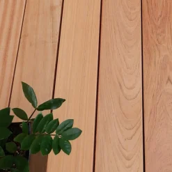 Hårdt Træ Terrassebrædder^Jatobo terrassebrædder 21x145 mm x 2,45 m