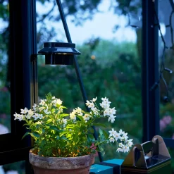 Online Juliana LED-lampe til drivhus